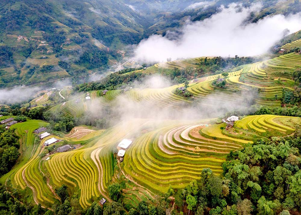 Ta Phin Village - Villages in Sapa